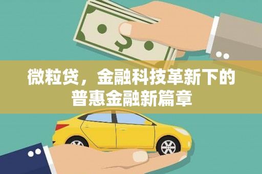 共和微粒贷，金融科技革新下的普惠金融新篇章