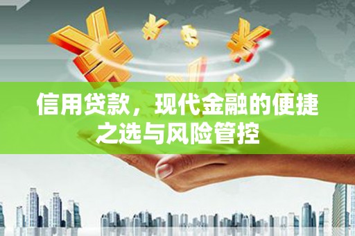 共和信用贷款，现代金融的便捷之选与风险管控