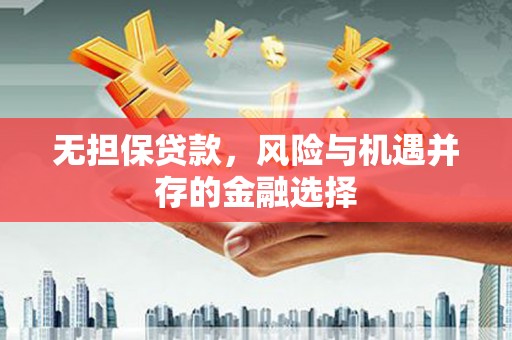 共和无担保贷款，风险与机遇并存的金融选择