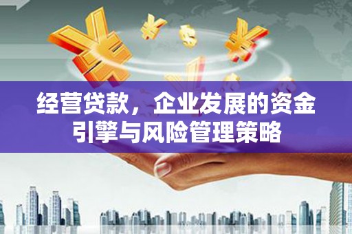 共和经营贷款，企业发展的资金引擎与风险管理策略