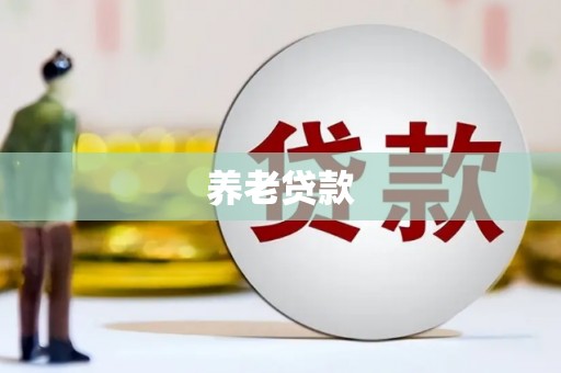 共和养老贷款