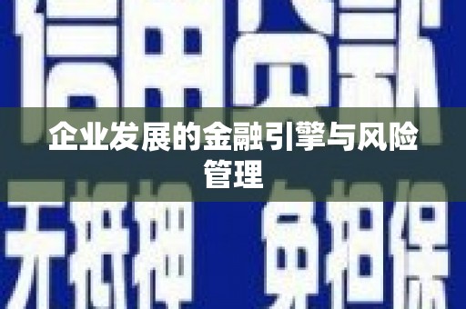 共和企业发展的金融引擎与风险管理