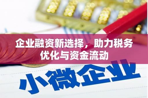 共和企业融资新选择，助力税务优化与资金流动