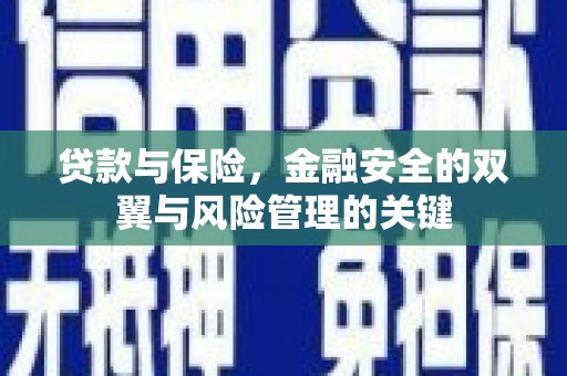 共和贷款与保险，金融安全的双翼与风险管理的关键