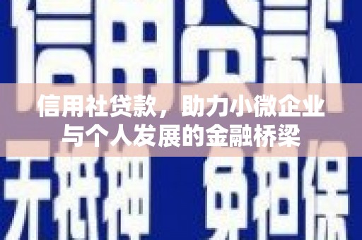 共和信用社贷款，助力小微企业与个人发展的金融桥梁