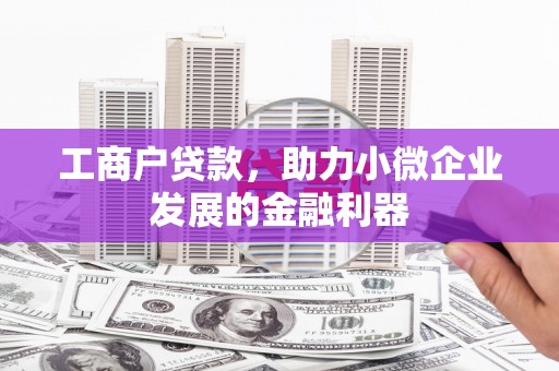 共和工商户贷款，助力小微企业发展的金融利器