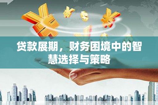 共和贷款展期，财务困境中的智慧选择与策略