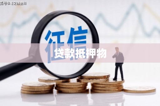 共和贷款抵押物