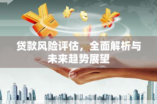 共和贷款风险评估，全面解析与未来趋势展望
