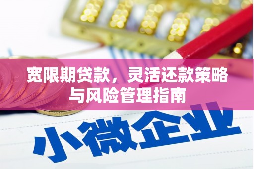 共和宽限期贷款，灵活还款策略与风险管理指南
