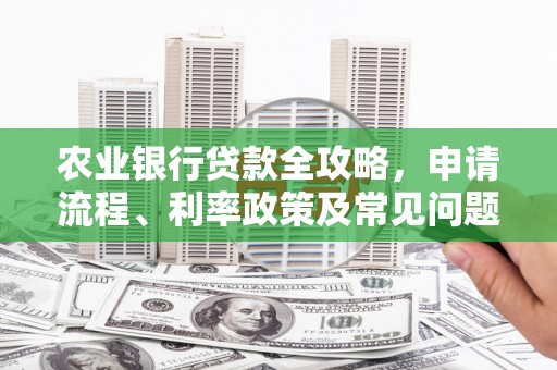 共和农业银行贷款全攻略，申请流程、利率政策及常见问题解析