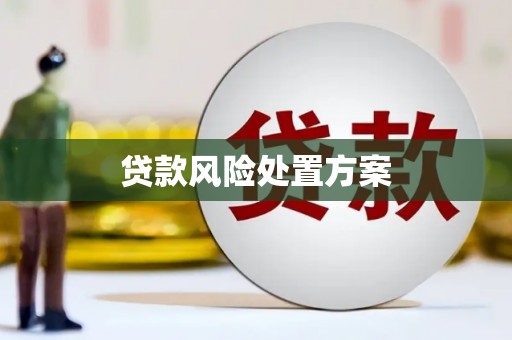 共和贷款风险处置方案