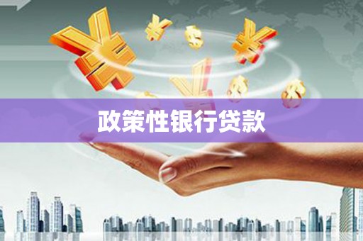 共和政策性银行贷款