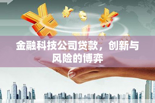 共和金融科技公司贷款，创新与风险的博弈