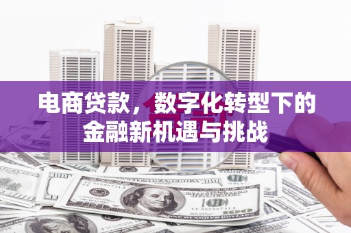 共和电商贷款，数字化转型下的金融新机遇与挑战