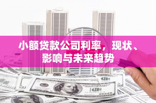 共和小额贷款公司利率，现状、影响与未来趋势