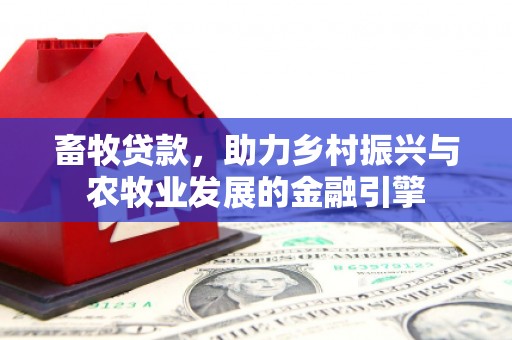 共和畜牧贷款，助力乡村振兴与农牧业发展的金融引擎