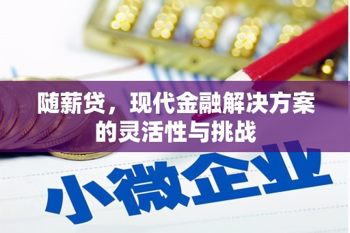 共和随薪贷，现代金融解决方案的灵活性与挑战