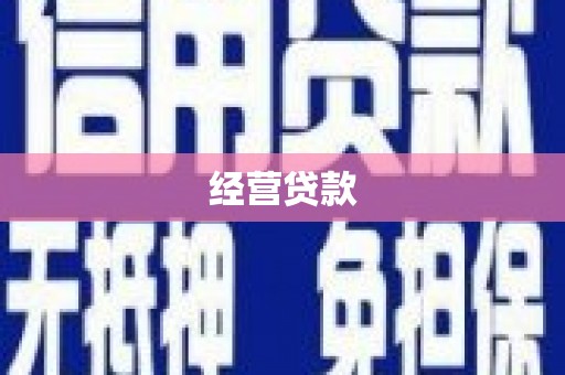 共和经营贷款