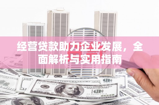 共和经营贷款助力企业发展，全面解析与实用指南