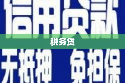 共和税务贷