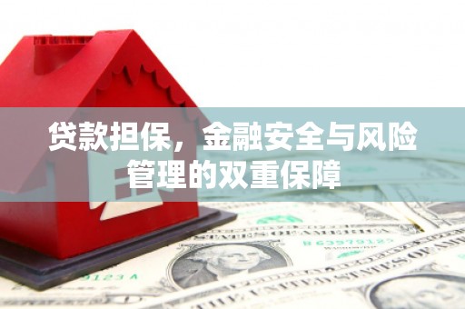 共和贷款担保，金融安全与风险管理的双重保障