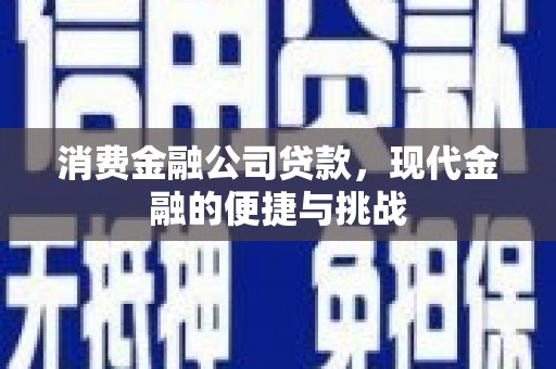共和消费金融公司贷款，现代金融的便捷与挑战