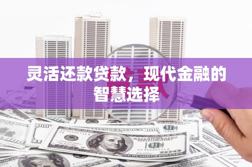 共和灵活还款贷款，现代金融的智慧选择