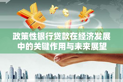共和政策性银行贷款在经济发展中的关键作用与未来展望