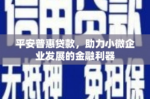 共和平安普惠贷款，助力小微企业发展的金融利器