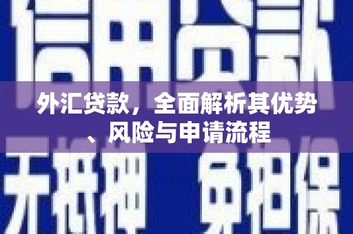 共和外汇贷款，全面解析其优势、风险与申请流程