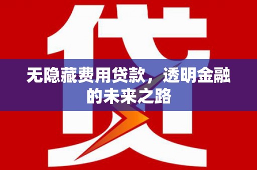 共和无隐藏费用贷款，透明金融的未来之路