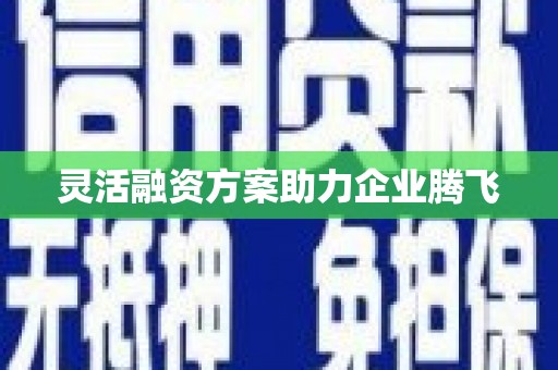 共和灵活融资方案助力企业腾飞