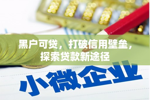 共和黑户可贷，打破信用壁垒，探索贷款新途径