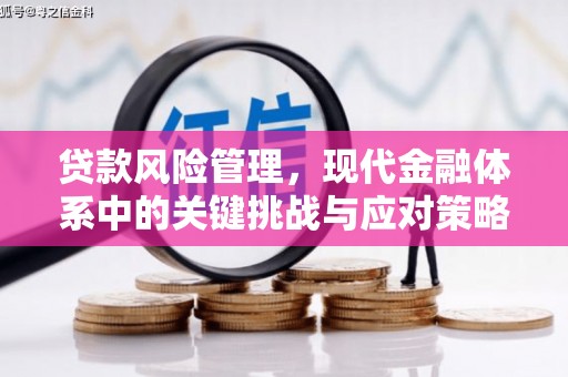 共和贷款风险管理，现代金融体系中的关键挑战与应对策略