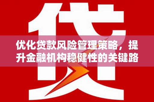 共和优化贷款风险管理策略，提升金融机构稳健性的关键路径