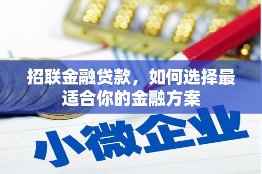 共和招联金融贷款，如何选择最适合你的金融方案