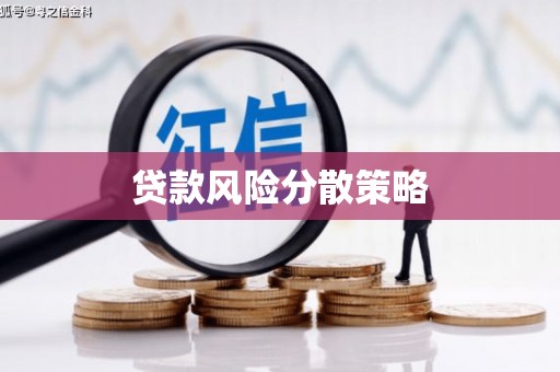 共和贷款风险分散策略
