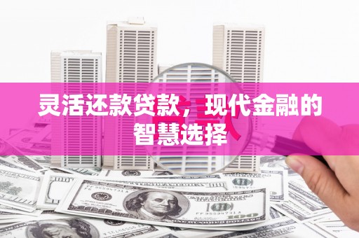 共和灵活还款贷款，现代金融的智慧选择