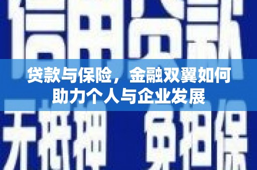 共和贷款与保险，金融双翼如何助力个人与企业发展