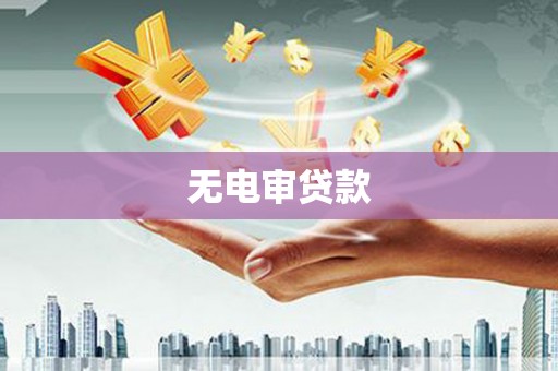 共和无电审贷款