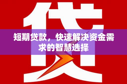 共和短期贷款，快速解决资金需求的智慧选择