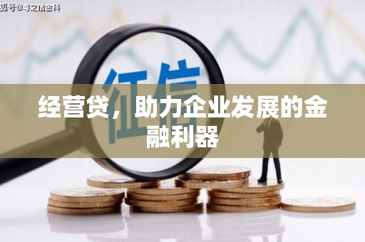 共和经营贷，助力企业发展的金融利器