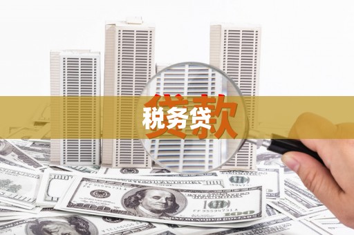共和税务贷