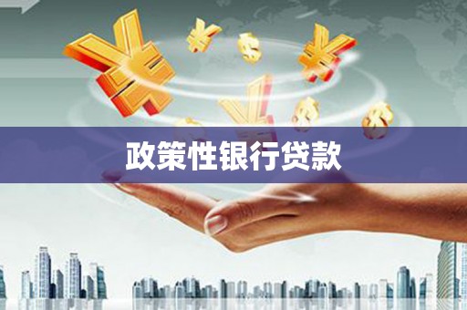 共和政策性银行贷款