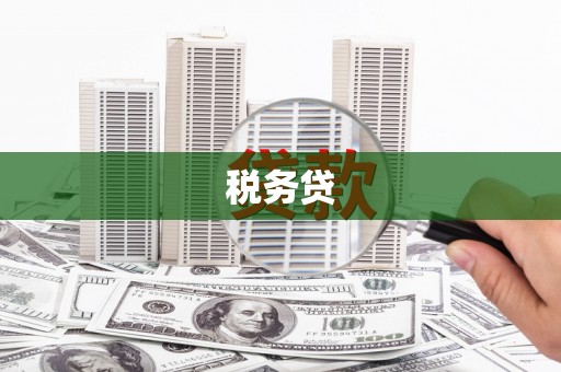 共和税务贷