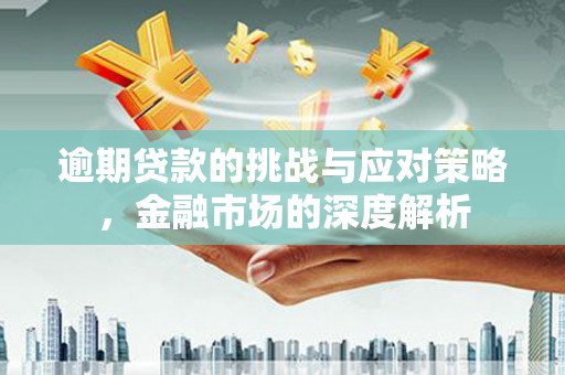 共和逾期贷款的挑战与应对策略，金融市场的深度解析