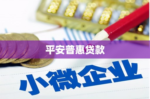 共和平安普惠贷款