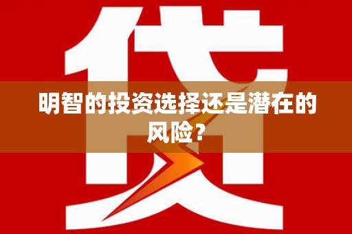 共和明智的投资选择还是潜在的风险？