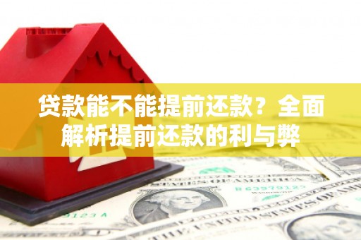 共和贷款能不能提前还款？全面解析提前还款的利与弊